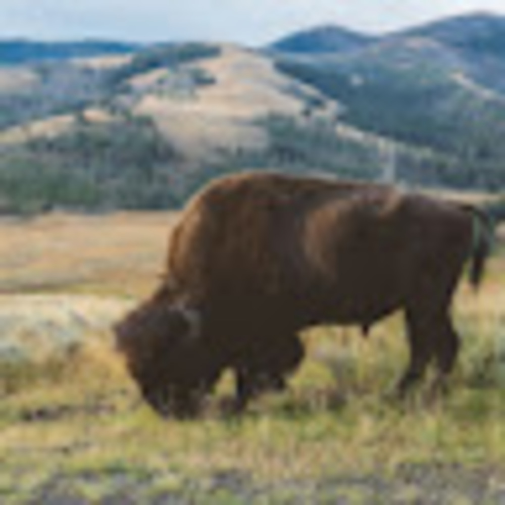 Meet your Posher, Justin